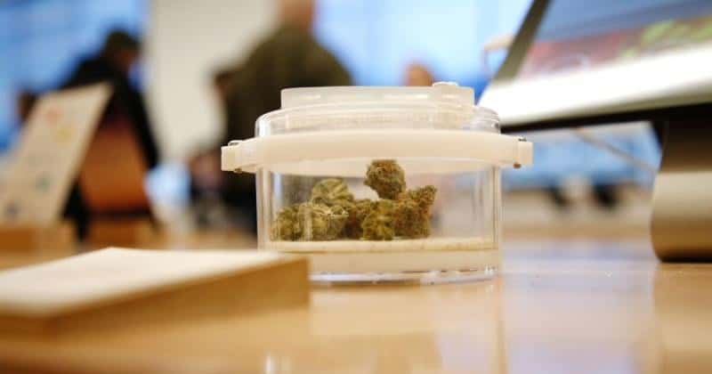 Cannabis lender Safe Harbor Financial