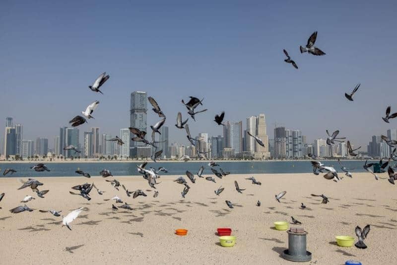 Averda, the Dubai-based provider of waste-disposal services
